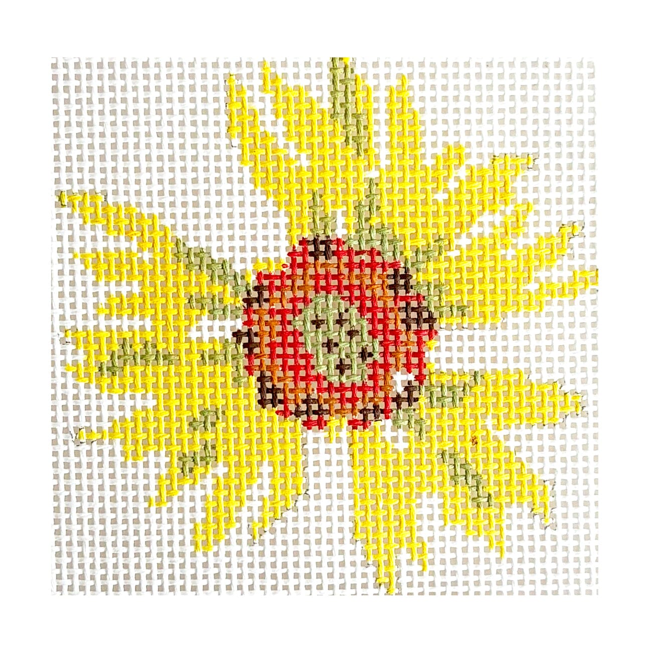 Gaillardia Bloom Painted Canvas KCN Designers  - 1