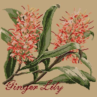 Ginger Lily Needlepoint Kit Kits Elizabeth Bradley Design Sand 
