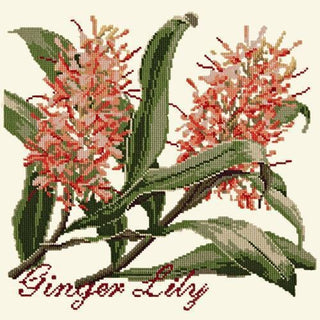 Ginger Lily Needlepoint Kit Kits Elizabeth Bradley Design Winter White 
