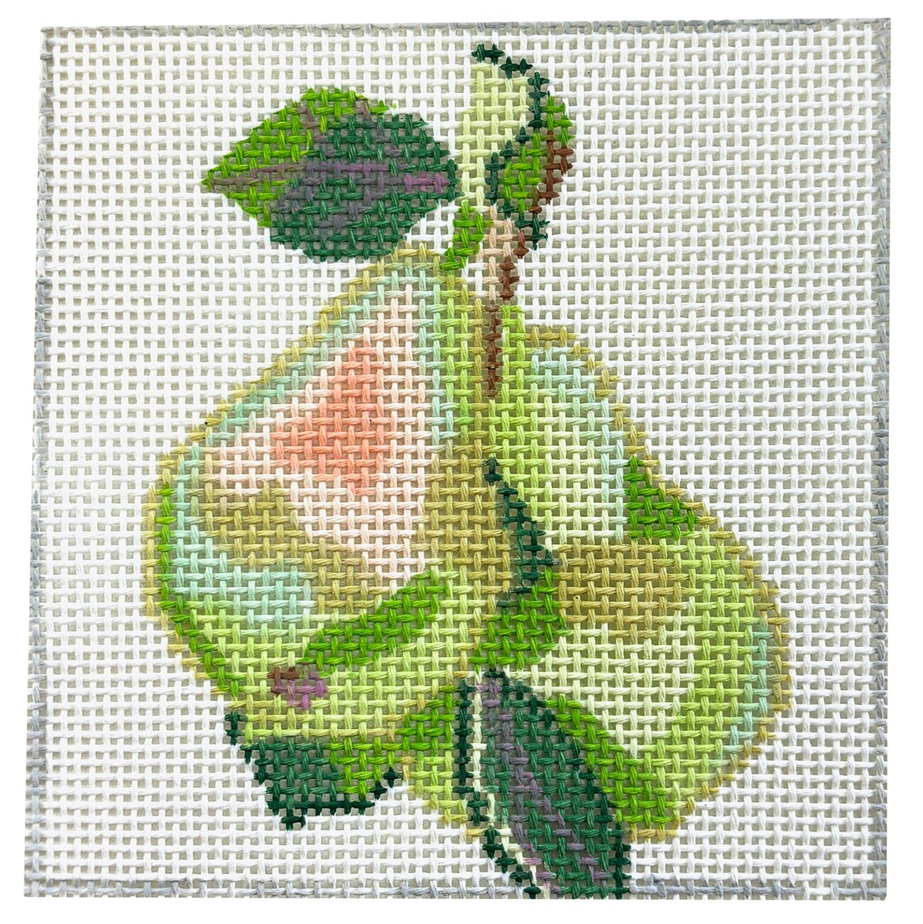 Green Pears Coaster   Fruits & Vegetables Painted Canvas Jean Smith 
