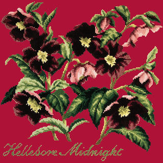 Hellebore Midnight Needlepoint Kit Kits Elizabeth Bradley Design Bright Red 
