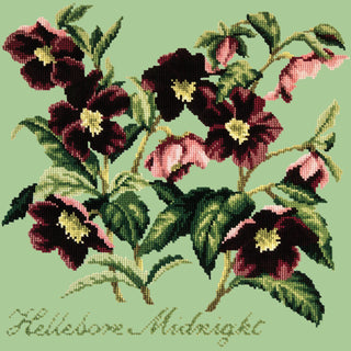 Hellebore Midnight Needlepoint Kit Kits Elizabeth Bradley Design Pale Green 
