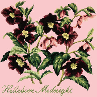 Hellebore Midnight Needlepoint Kit Kits Elizabeth Bradley Design Pale Rose 
