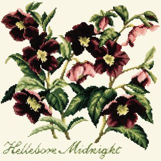 Hellebore Midnight Needlepoint Kit Kits Elizabeth Bradley Design Winter White 
