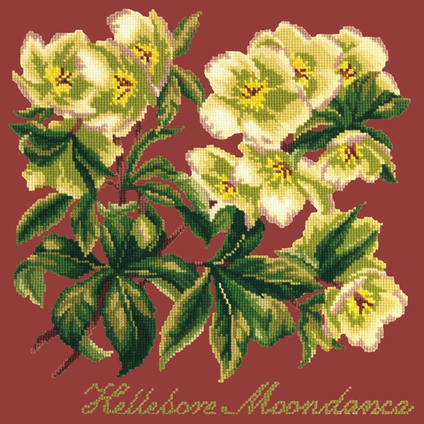 Hellebore Moondance Needlepoint Kit Kits Elizabeth Bradley Design Dark Red 