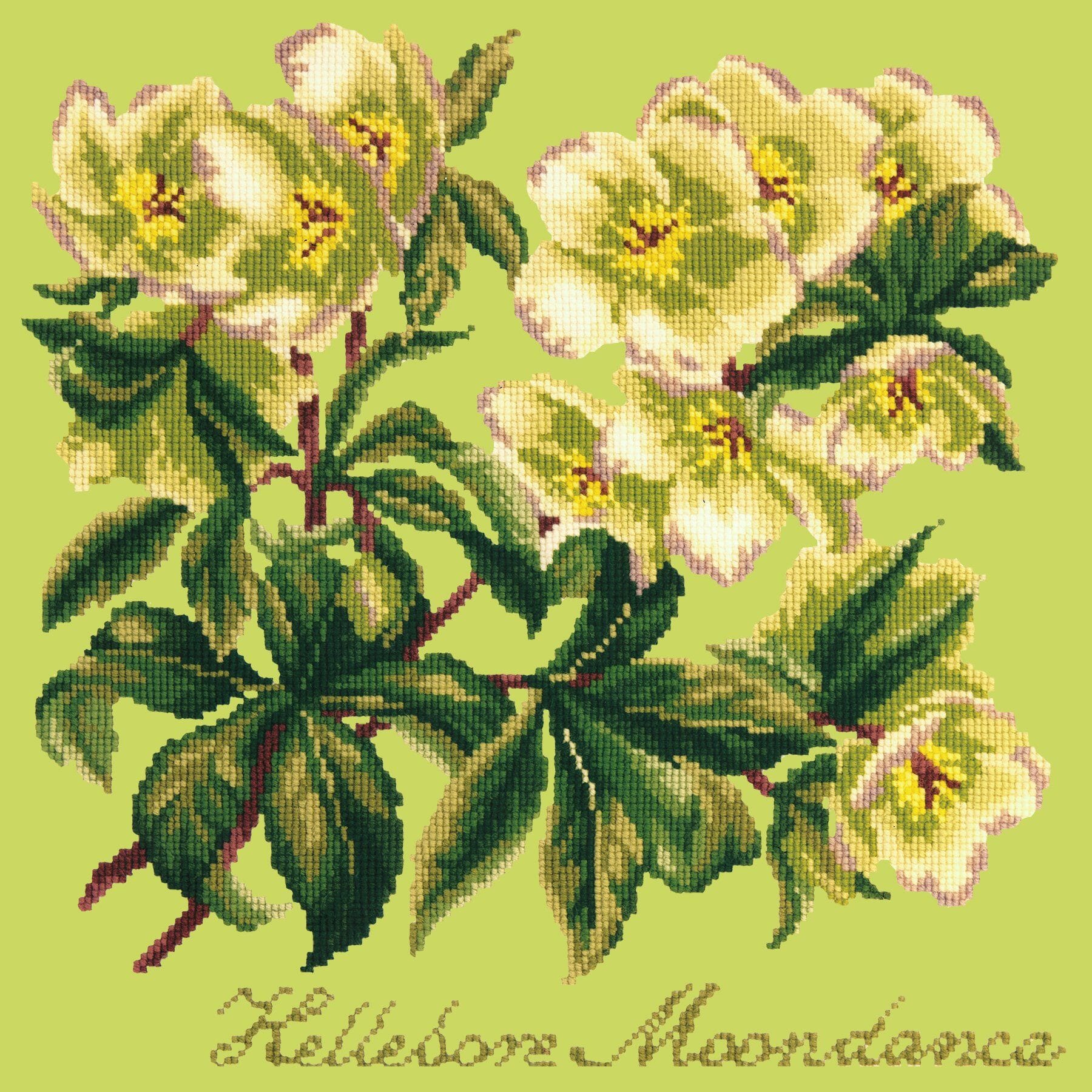 Hellebore Moondance Needlepoint Kit Kits Elizabeth Bradley Design Pale Lime 