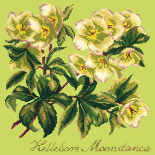 Hellebore Moondance Needlepoint Kit Kits Elizabeth Bradley Design Pale Lime 
