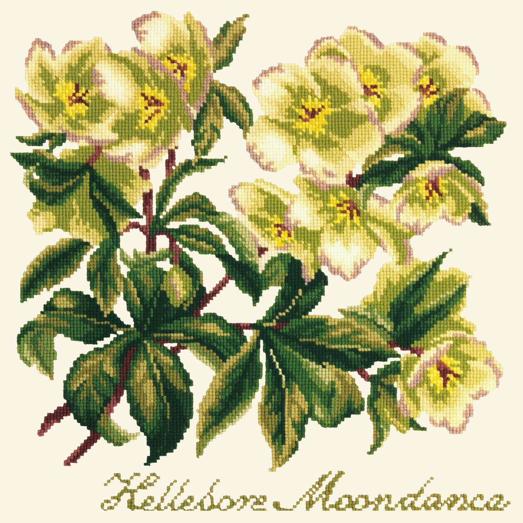 Hellebore Moondance Needlepoint Kit Kits Elizabeth Bradley Design Winter White 