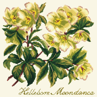 Hellebore Moondance Needlepoint Kit Kits Elizabeth Bradley Design Winter White 
