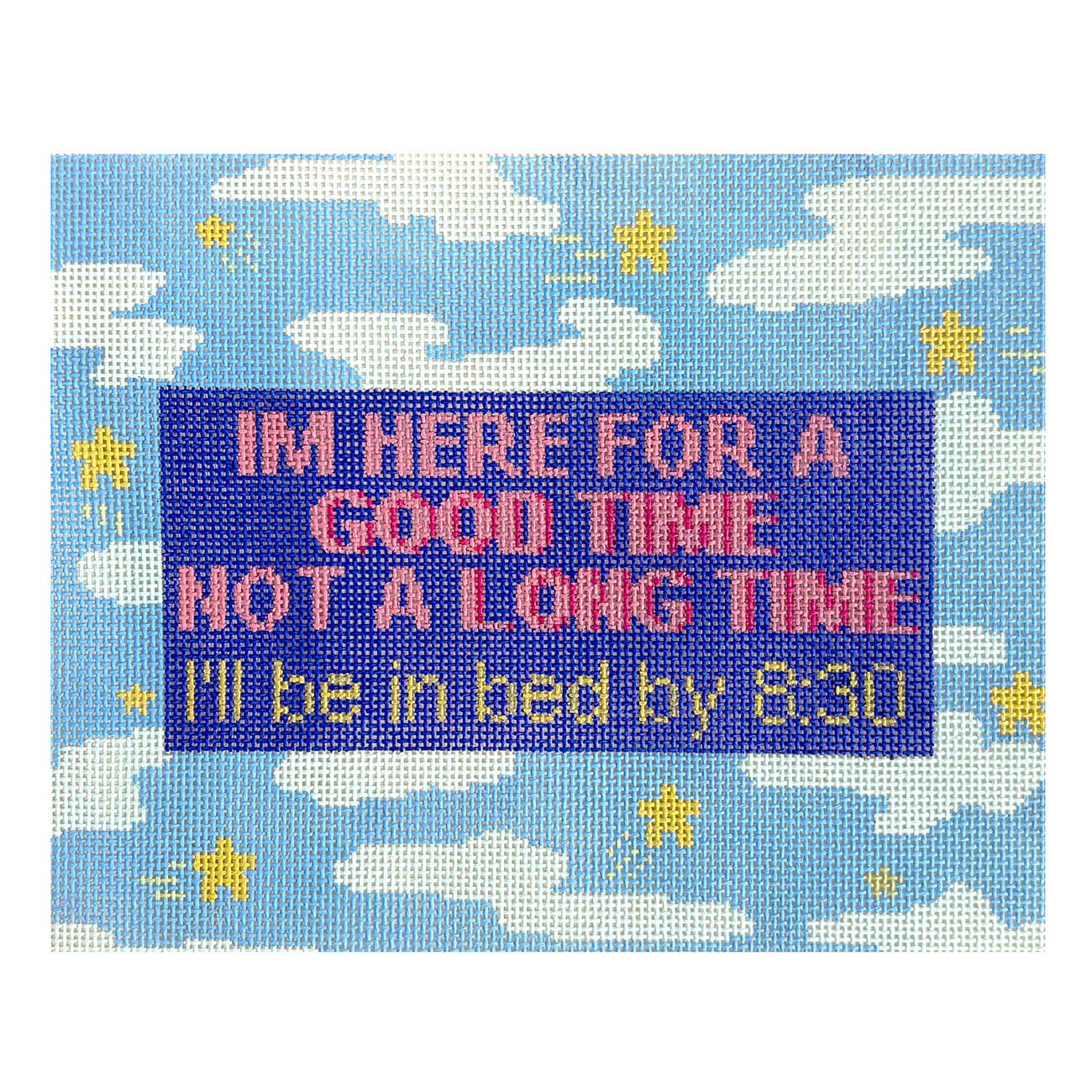 Here For a Good Time Painted Canvas The Painted Stitch  - 1