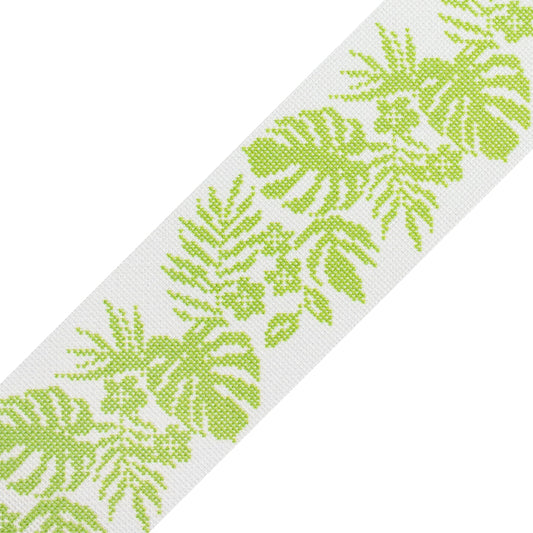 Hibiscus Band - Green/White Printed Canvas Two Sisters Needlepoint 