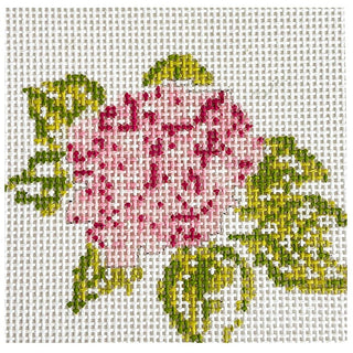 Hydrangea Pink 4x4 Painted Canvas Blue Waters Needlepoint 
