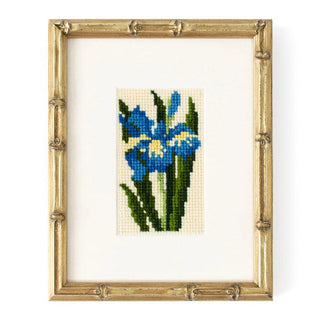 Iris Starter Kit Kits Elizabeth Bradley Design 
