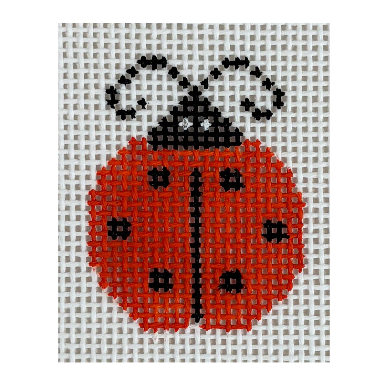 Ladybug Orange Painted Canvas MF Needlepoint  - 1