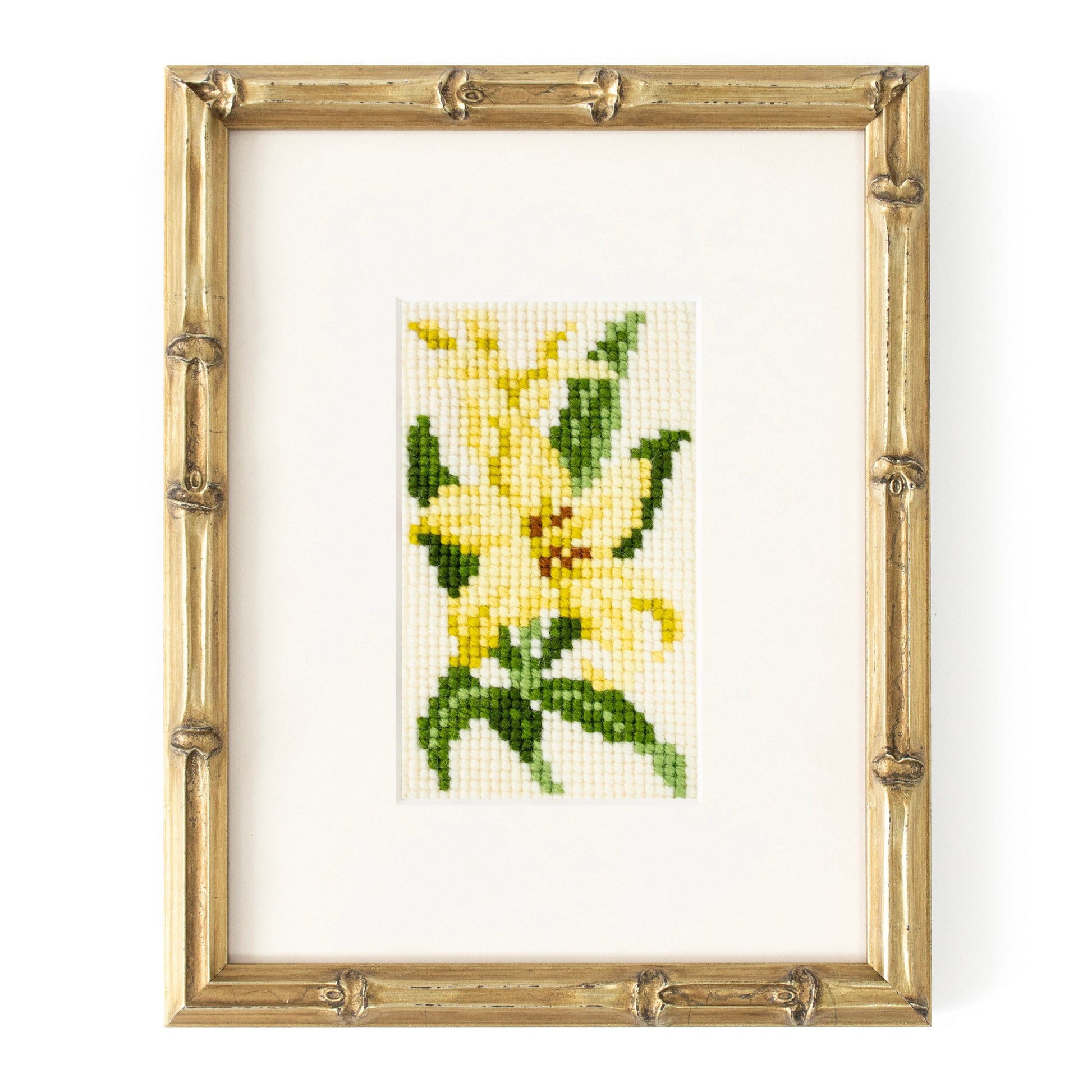Lily Starter Kit Kits Elizabeth Bradley Design 