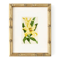 Lily Starter Kit Kits Elizabeth Bradley Design 