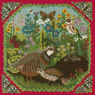 Meadow Needlepoint Kit Kits Elizabeth Bradley Design Bright Red 
