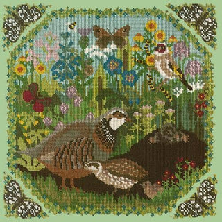 Meadow Needlepoint Kit Kits Elizabeth Bradley Design Pale Green 
