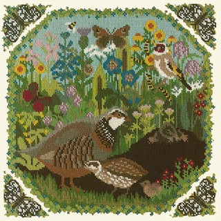 Meadow Needlepoint Kit Kits Elizabeth Bradley Design Winter White 
