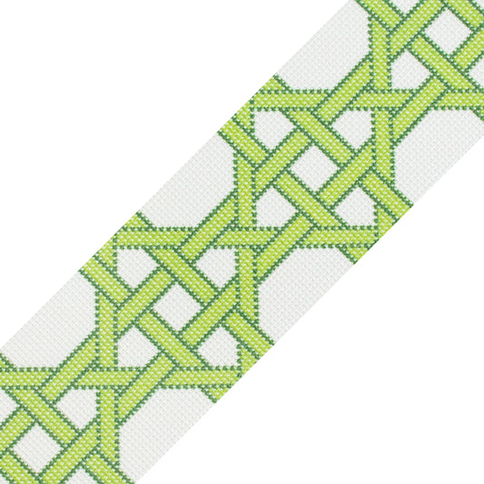 Modern Caning Band - Green/White Printed Canvas Two Sisters Needlepoint 