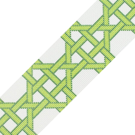 Modern Caning Band - Green/White Printed Canvas Two Sisters Needlepoint 