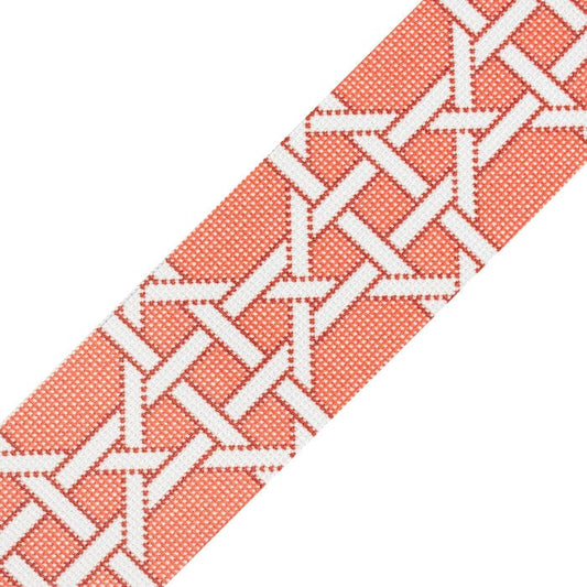Modern Caning Band - White on Orange Printed Canvas Two Sisters Needlepoint 