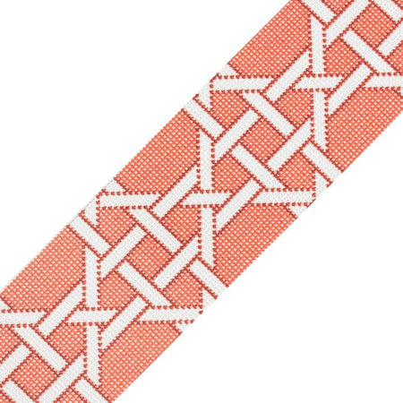 Modern Caning Band - White on Orange Printed Canvas Two Sisters Needlepoint 