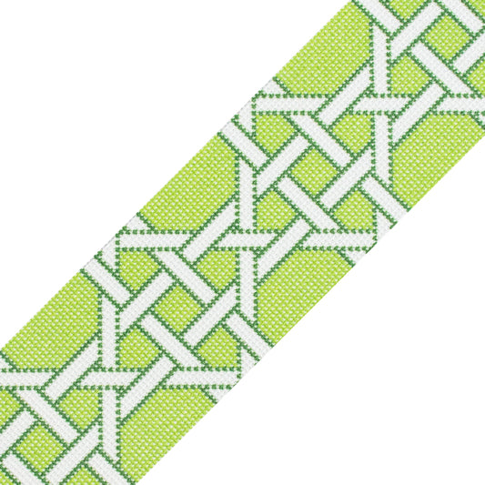 Modern Caning Band - White/Green Printed Canvas Two Sisters Needlepoint 