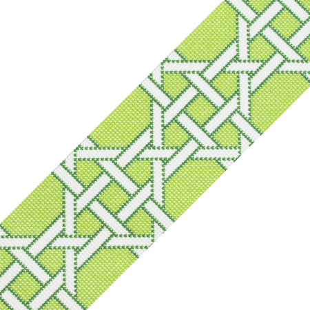 Modern Caning Band - White/Green Printed Canvas Two Sisters Needlepoint 