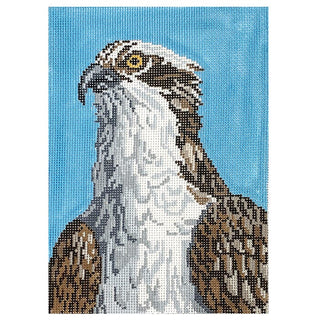 Osprey on 13 Painted Canvas Needle Crossings 
