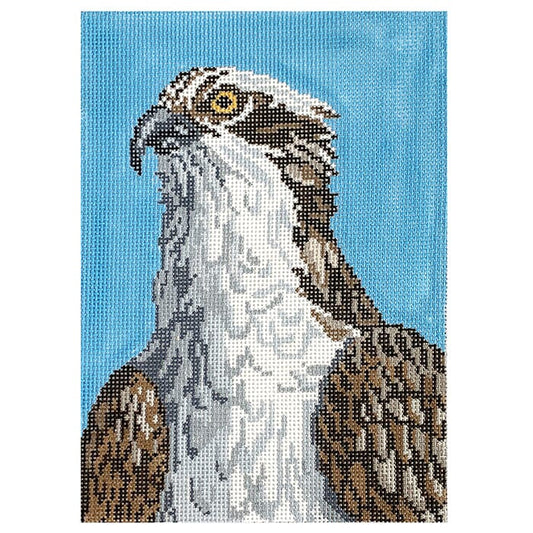 Osprey on 13 Painted Canvas Needle Crossings 