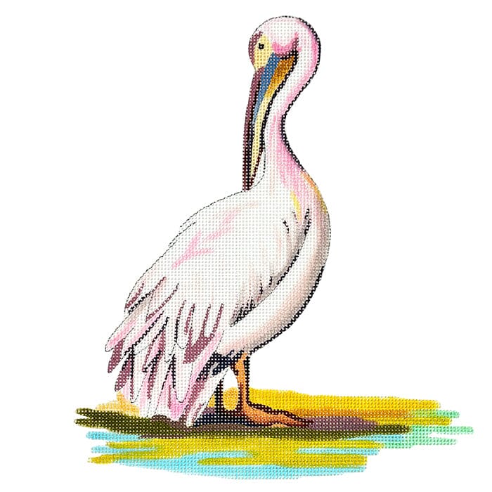 Pelican Illustration Painted Canvas Colors of Praise 