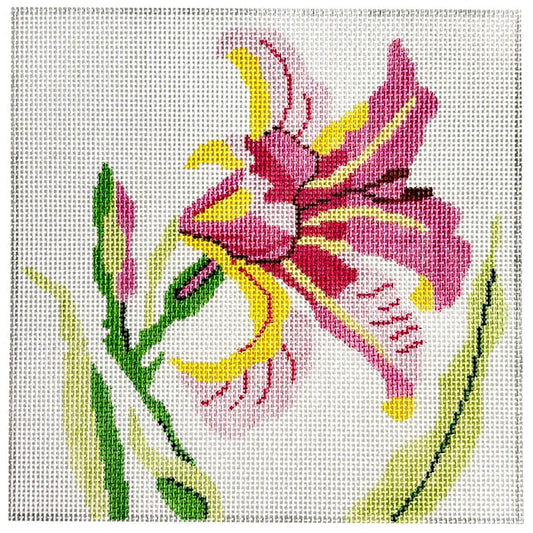 Pink Lily 8" Painted Canvas Jean Smith 