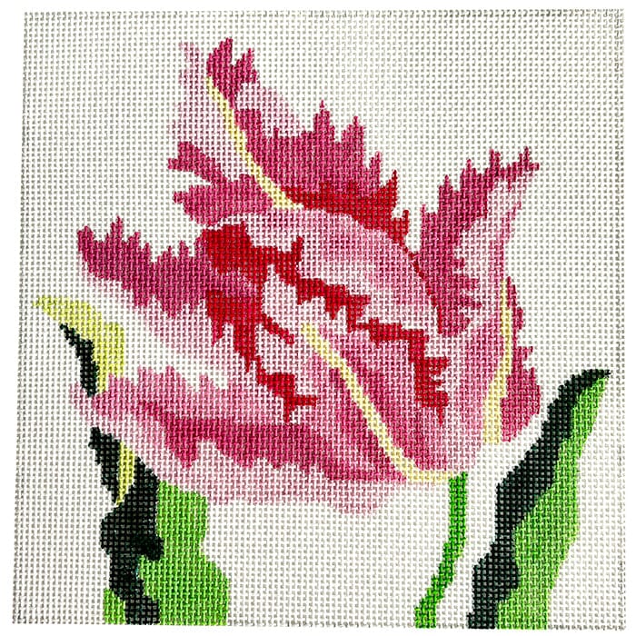 Pink Parrot Tulip 8" Painted Canvas Jean Smith  - 1