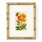 Poppy Starter Kit Kits Elizabeth Bradley Design 