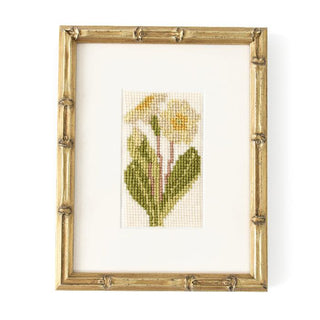 Primula Starter Kit Kits Elizabeth Bradley Design 
