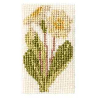 Primula Starter Kit Kits Elizabeth Bradley Design 
