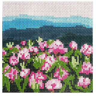 Rhododendron Mtn on 13 Painted Canvas Blue Ridge Stitchery 
