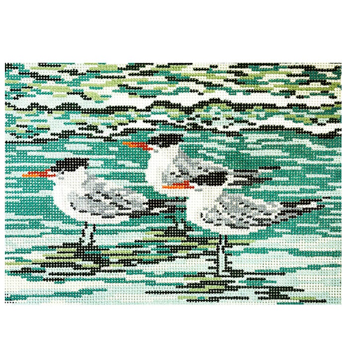 Royal Terns on 13 Painted Canvas Needle Crossings 