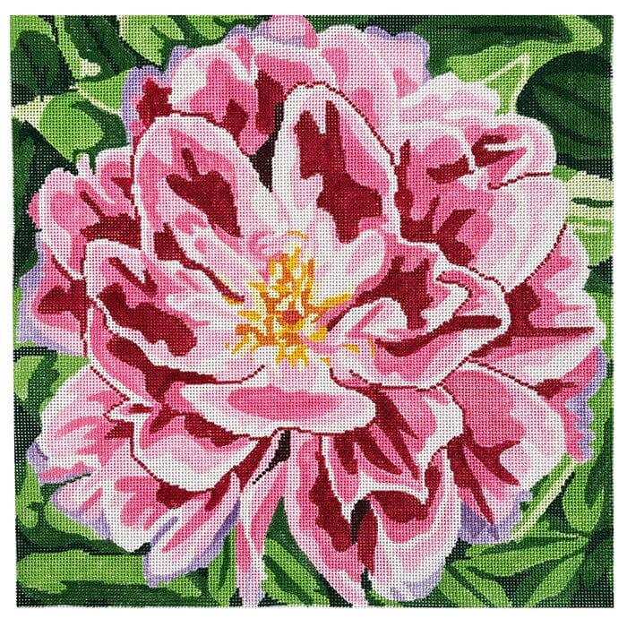 Ruffled Pink Peony Painted Canvas Jean Smith 
