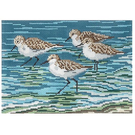 Sanderlings at the Shore on 13 Painted Canvas Needle Crossings 