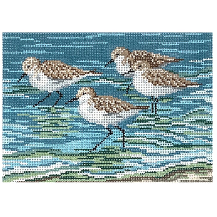 Sanderlings at the Shore on 13 Painted Canvas Needle Crossings 
