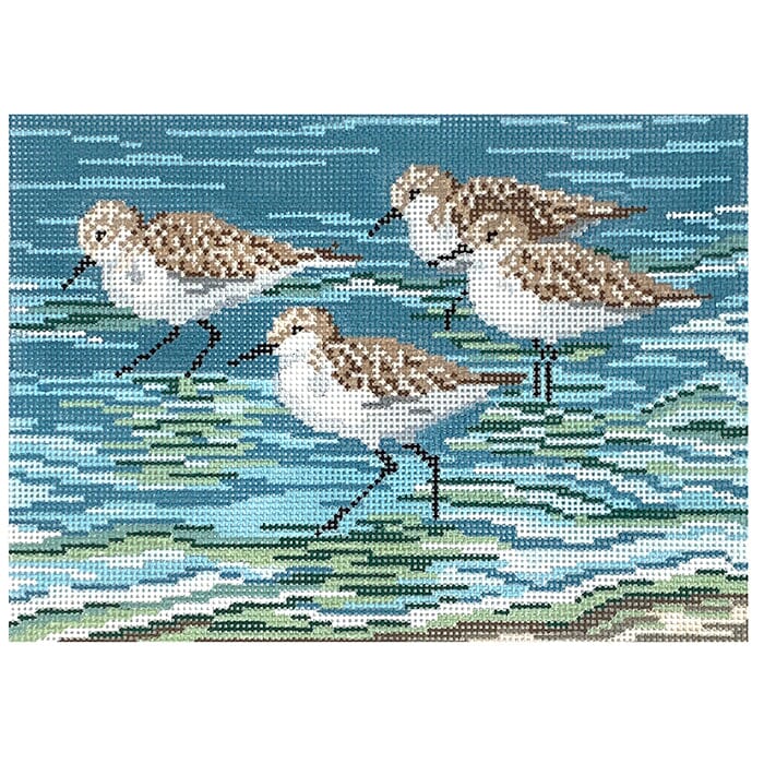 Sanderlings at the Shore on 18 Painted Canvas Needle Crossings 