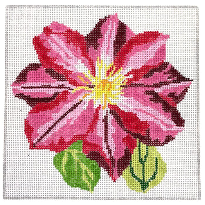 Simple Flowers Pink Clematis 8" Painted Canvas Jean Smith 