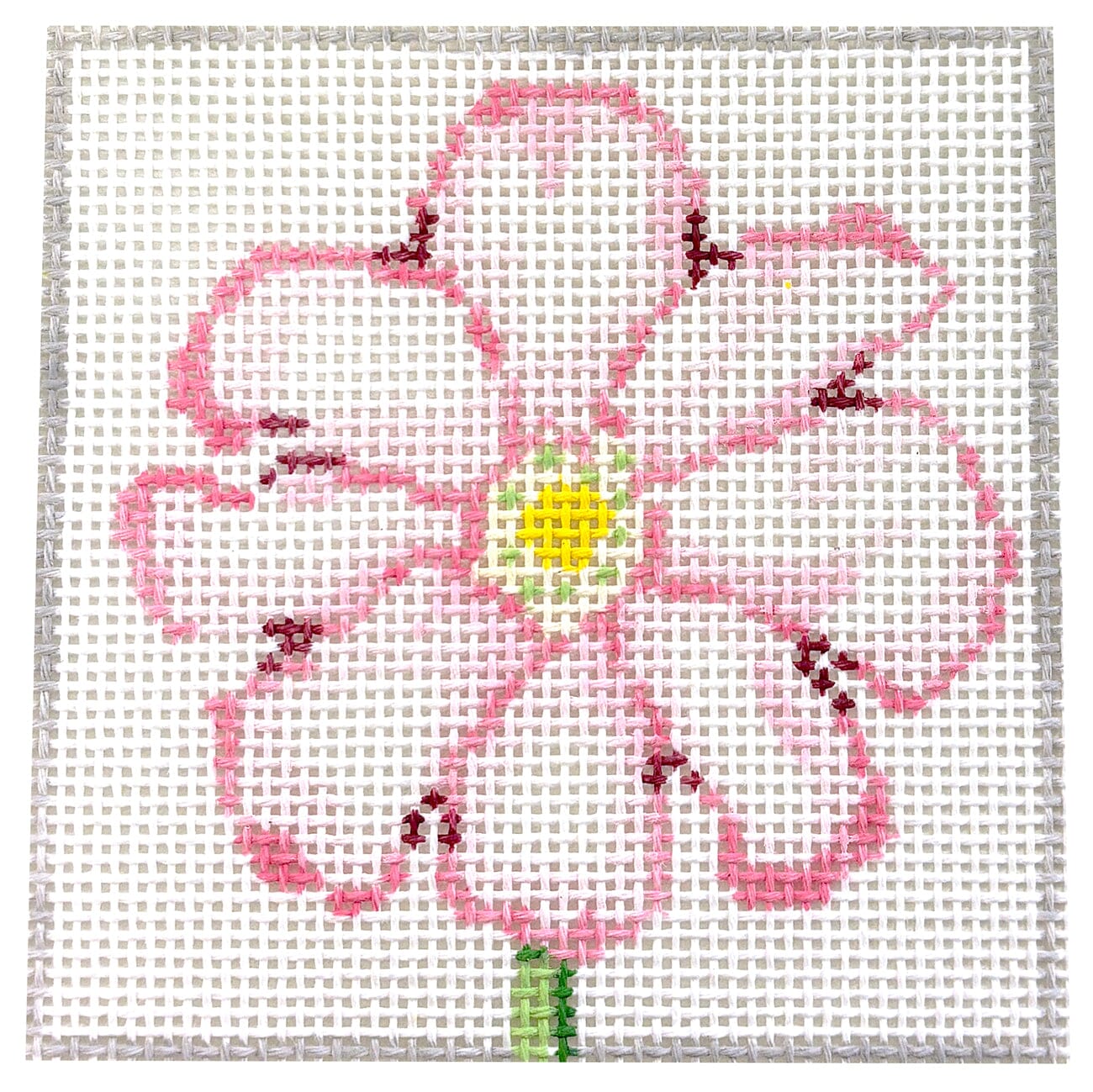 Simply Flowers Cosmos Coaster Painted Canvas Jean Smith 
