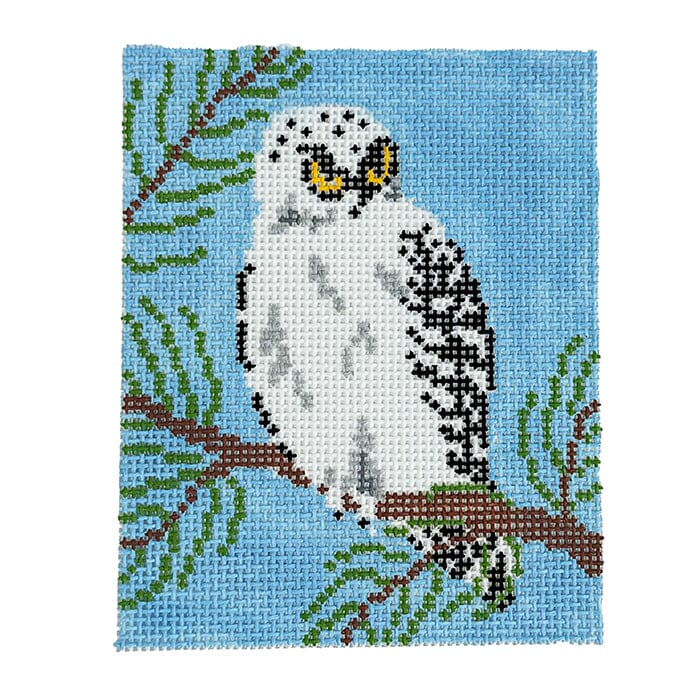 Snowy Owl square Painted Canvas Atlantic Blue Canvas  - 1