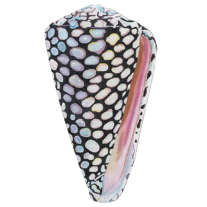 Speckled Seashell Front Painted Canvas Colors of Praise  - 1