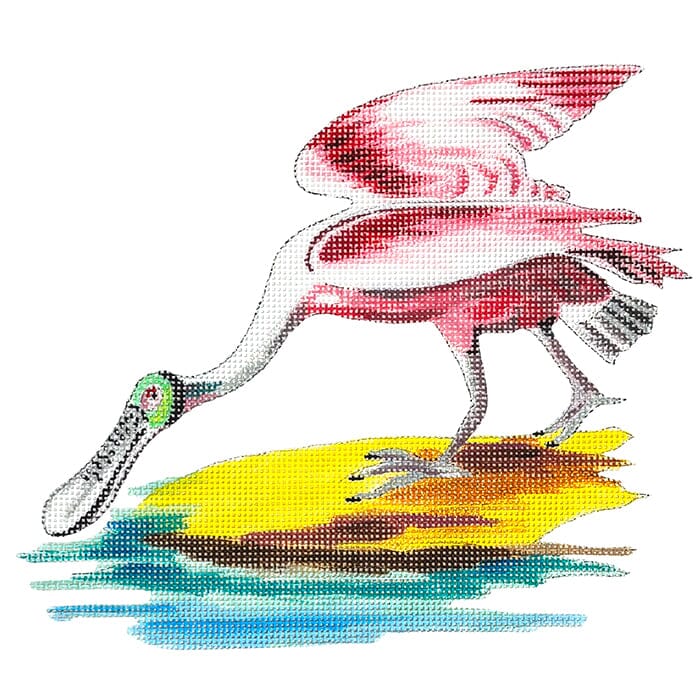 Spoonbill Illustration Painted Canvas Colors of Praise 