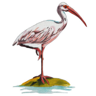 Stork Illustration Painted Canvas Colors of Praise 
