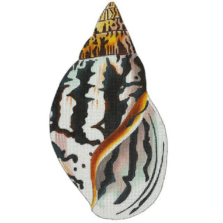 Striped Seashell   Front Painted Canvas Colors of Praise 
